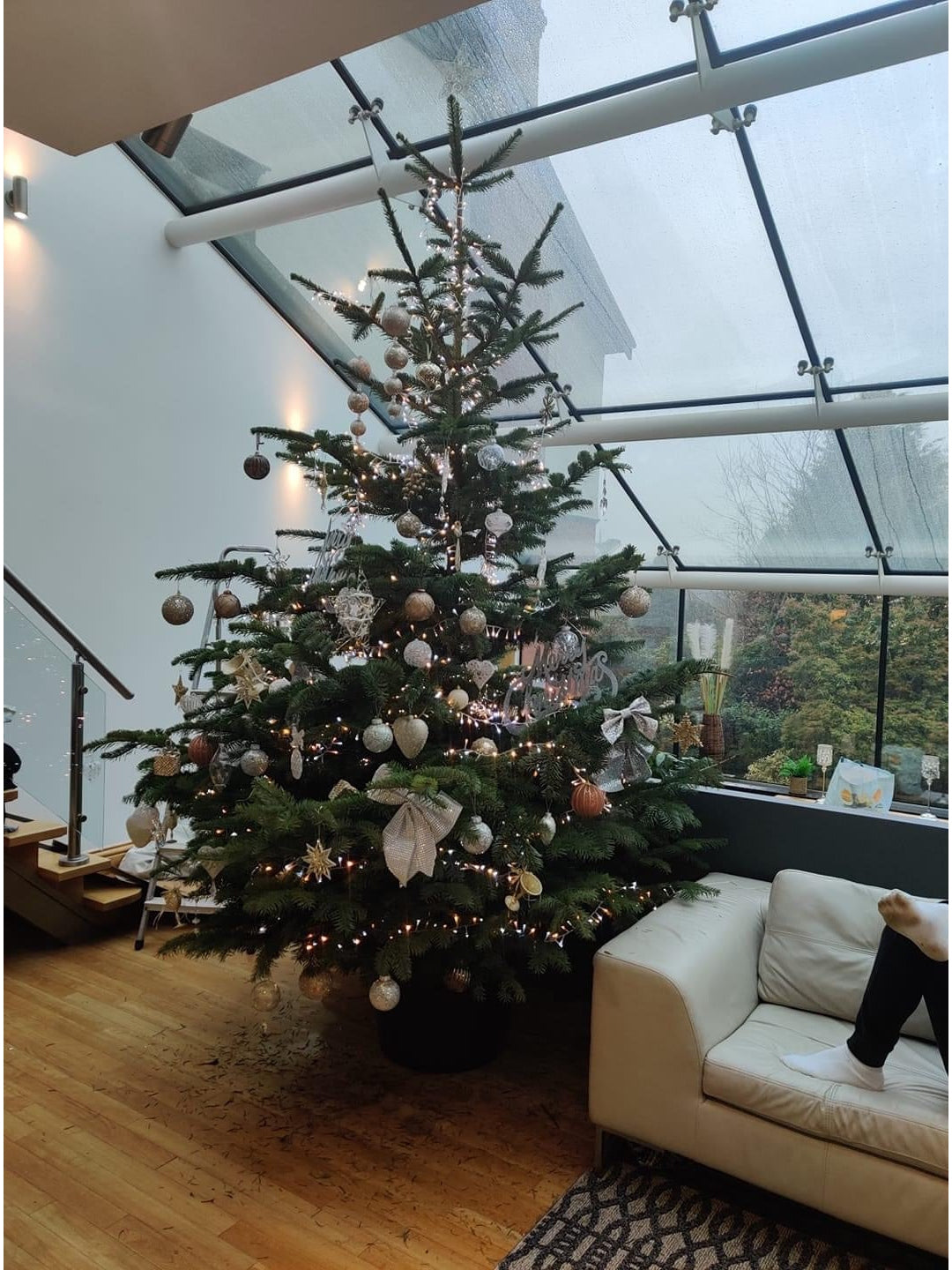 Customer decorated in Bolton.Fresh Nordmann fir Christmas trees with lush, dark green needles, ideal for holiday decorating; known for needle retention and full shape.