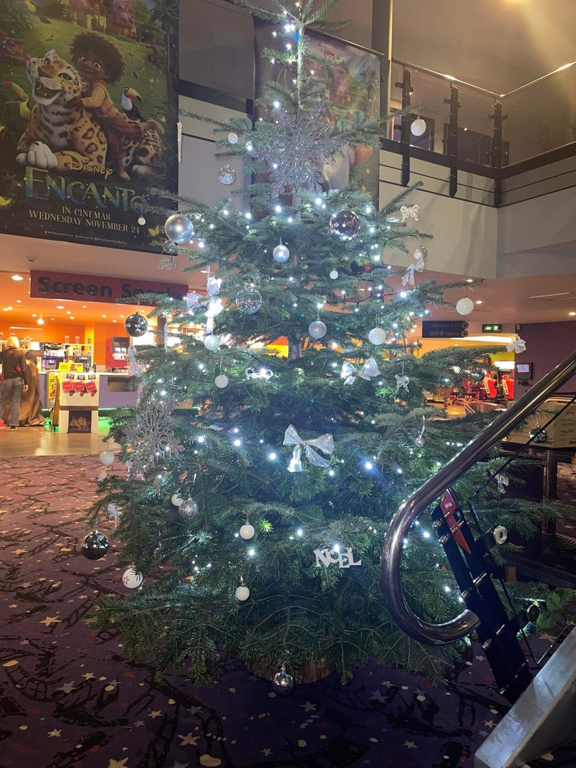 Bolton Cineworld Fresh Nordmann fir Christmas trees with lush, dark green needles, ideal for holiday decorating; known for needle retention and full shape.