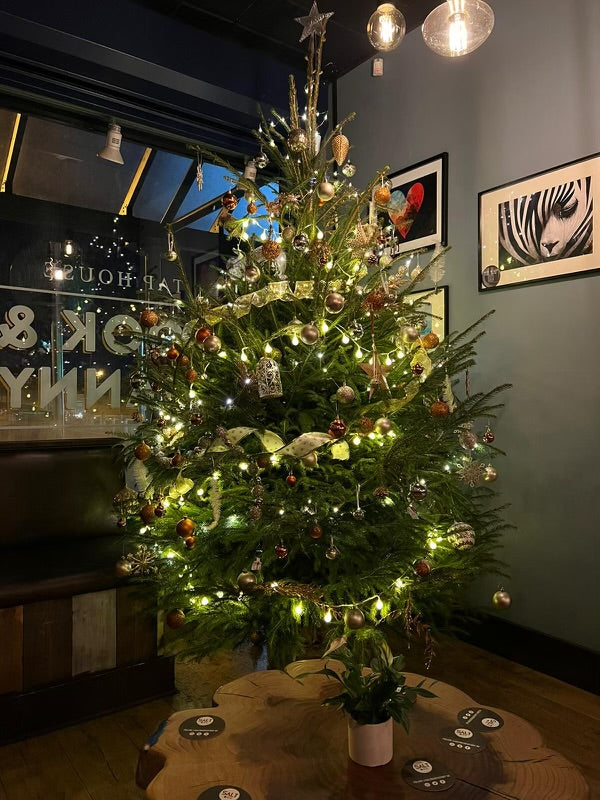 Norwegian Spruce Christmas Tree delivered to the Nook and Cranny pub in Harwood Bolton