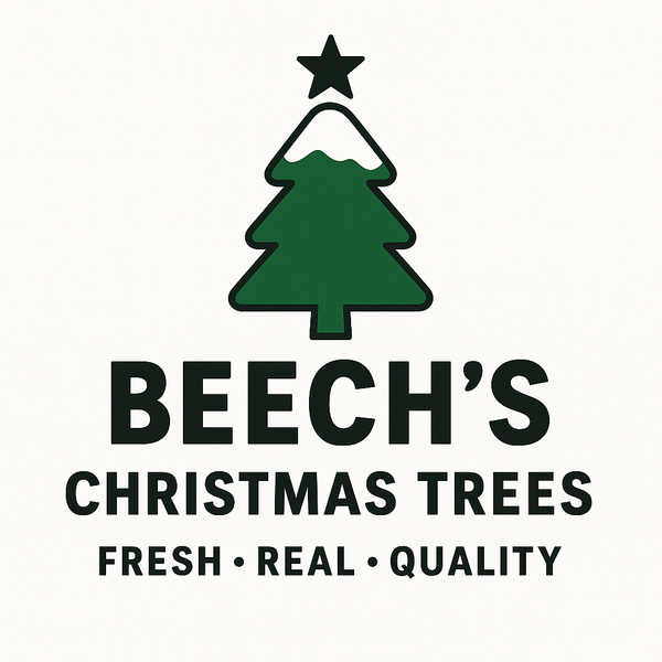 Beech's Christmas Trees