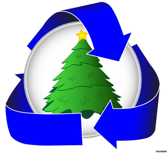 Xmas Tree collection and recycling