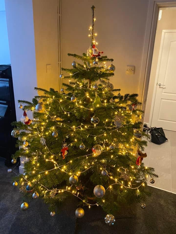 Nordmann Fir fitting nicely into the corner of a room, Decorated beautifully by a local customer