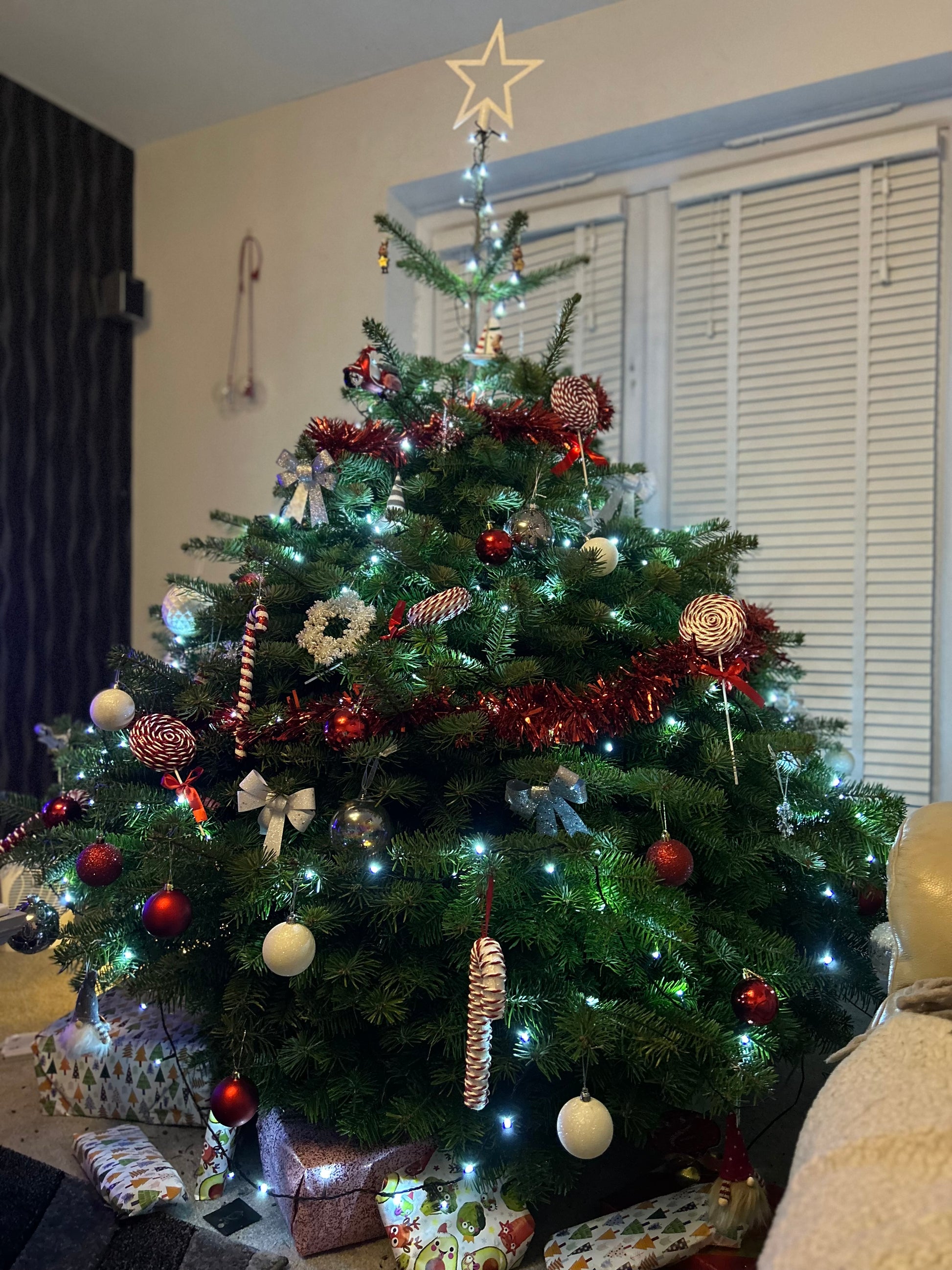 Present under this Nordmann fir Christmas Tree in Darwen, England