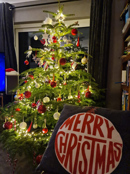Fresh Nordmann Fir real Christmas tree with soft,non-drop needles, available from beechs christmas trees Bolton