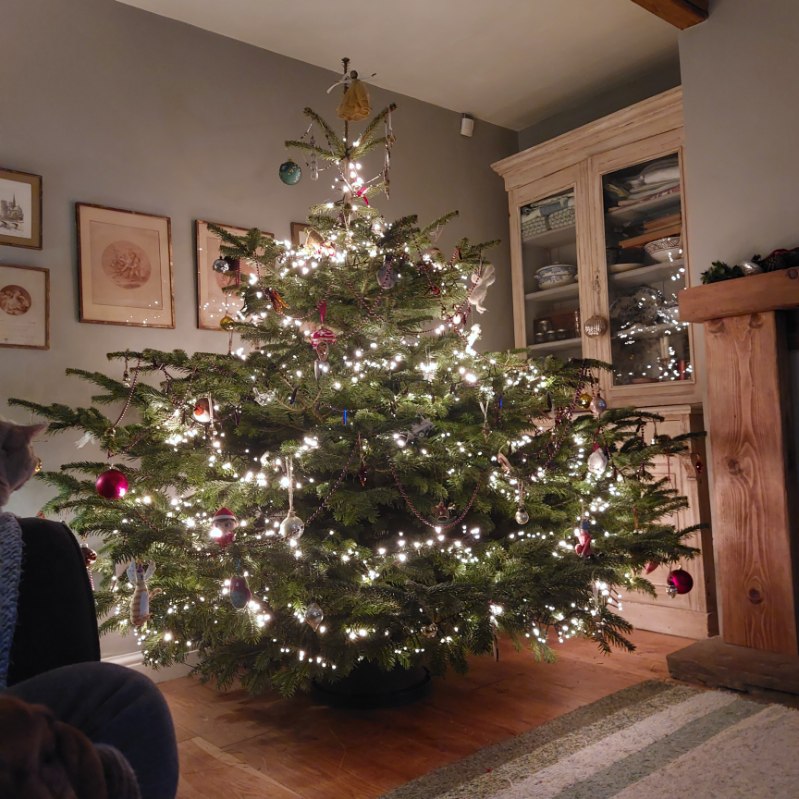 Nordmann fir, very bushy and decorated by one of our local customers